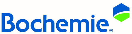 Bochemie Bochemit QB Profi 50 kg hnědá od 6 711 Kč - Zbozi.cz